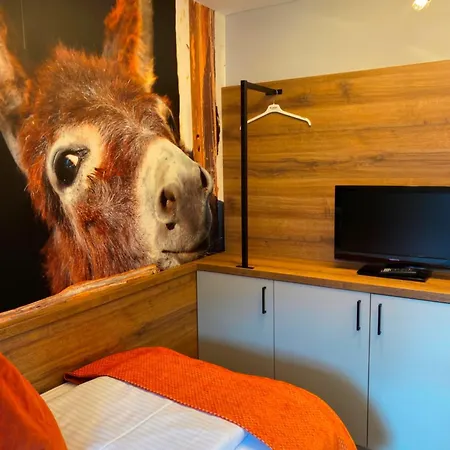 Elisabetha Garni Affittacamere