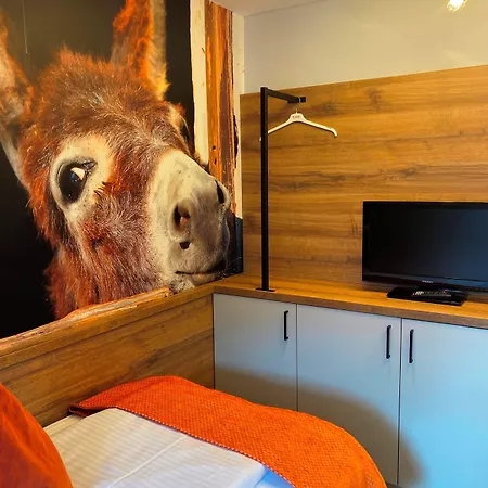 Elisabetha Garni בית הארחה הנובר