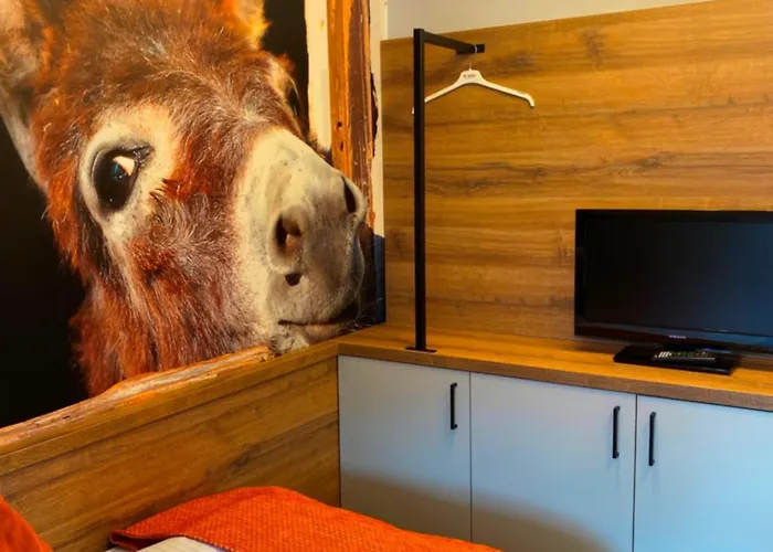 Elisabetha Garni Affittacamere